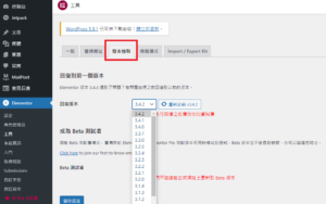 elementor 設定教學，wordpress elementor 角色管裡員設定教學