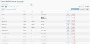 DNS 紀錄設定教學-初始設定的 DNS 紀錄